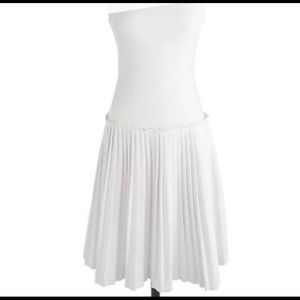 J.Crew Drop Waist Dress